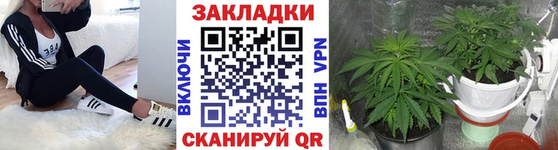 Магазин наркотиков Кубинка Псилоцибиновые грибы МАРИХУАНА Alpha-PVP