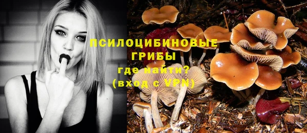 Альфа ПВП Инта