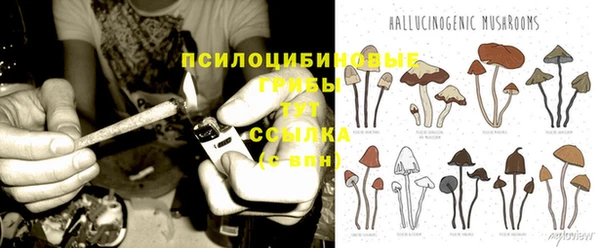 гашишное масло Инсар