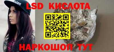 PSILOCYBIN Заводоуковск