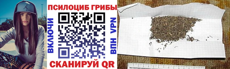 shop клад  Кубинка  Псилоцибиновые грибы MAGIC MUSHROOMS 
